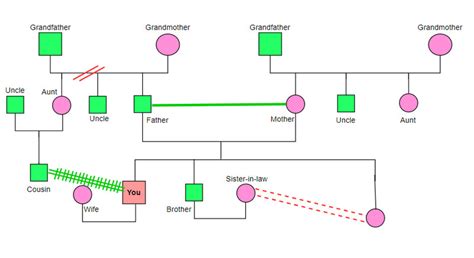 hoe maak je een genogram|Familiegenogram: gedetailleerde uitleg, type en hoe。